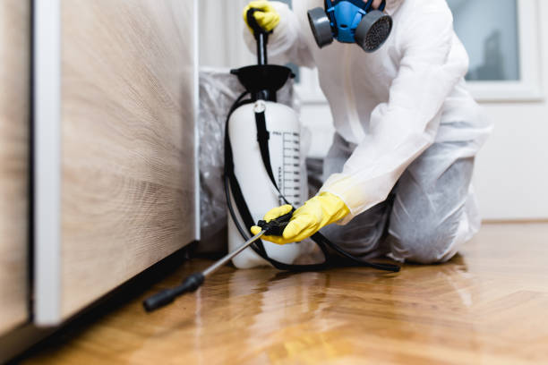 Best Residential Pest Control  in Harveys Lake, PA