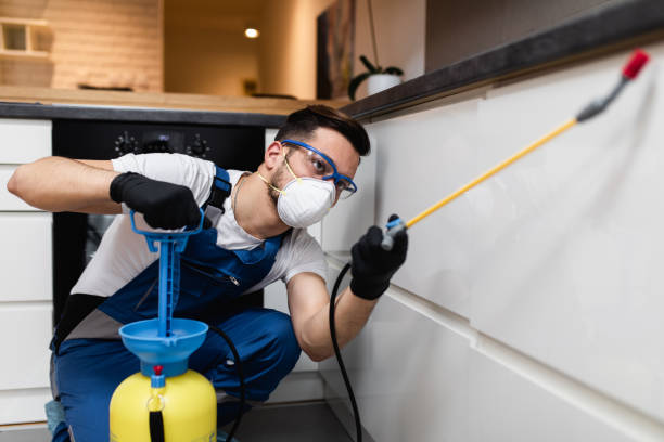 Best Pest Removal Services  in Harveys Lake, PA