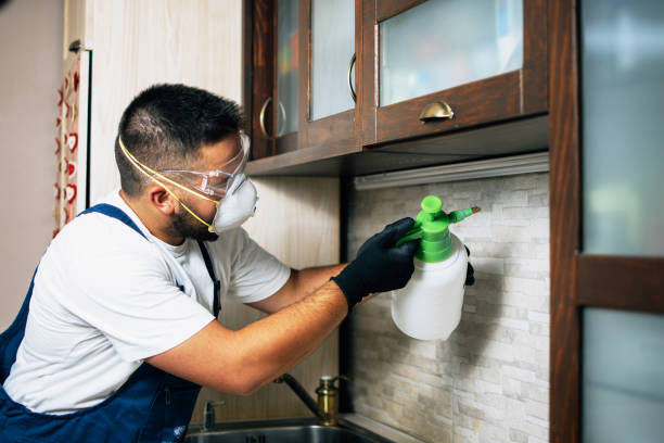 Best Pest Prevention Services  in Harveys Lake, PA