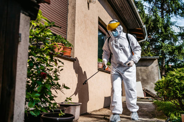Best Ant Control Services  in Harveys Lake, PA
