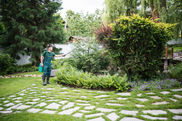 Best Mosquito Control Services  in Harveys Lake, PA