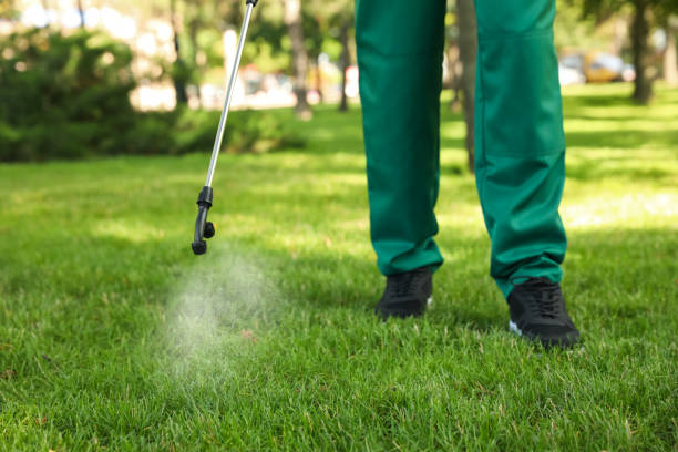 Best Cockroach Control Services  in Harveys Lake, PA