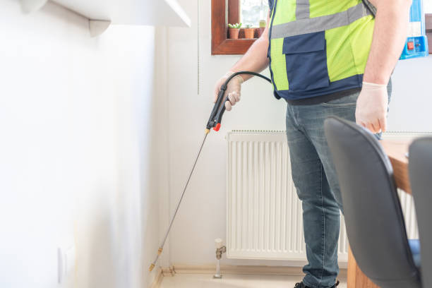 Wasp Removal Services in Harveys Lake, PA