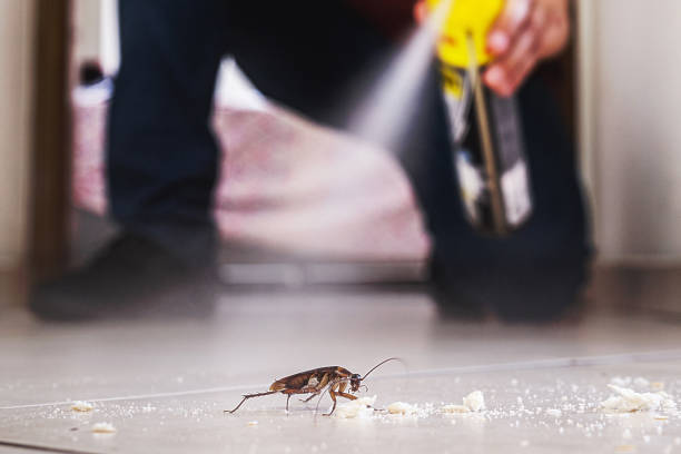 Best Affordable Pest Control Services  in Harveys Lake, PA