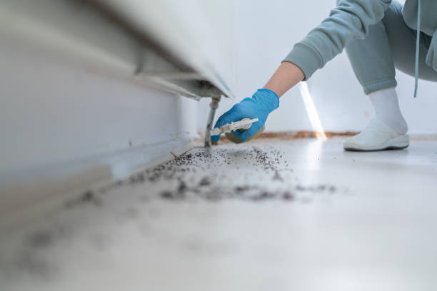 Best Rat Extermination Near Me  in Harveys Lake, PA
